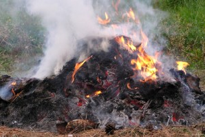 Fakta Bahaya dari Aktivitas Membakar Sampah mpabjustitia